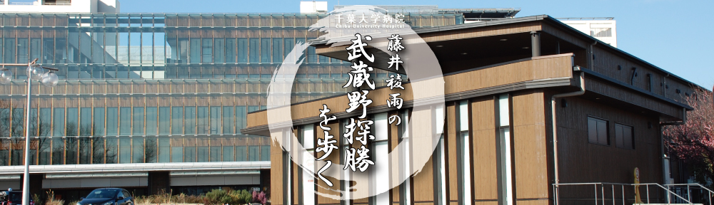 藤井稜雨の「武蔵野探勝を歩く」