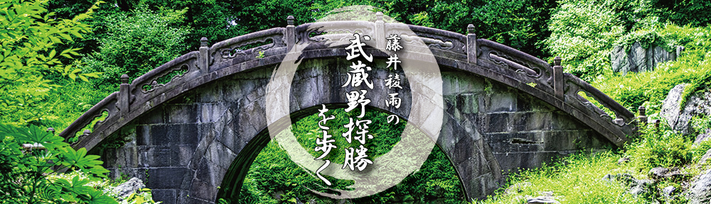 藤井稜雨の「武蔵野探勝を歩く」