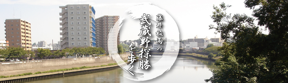 藤井稜雨の「武蔵野探勝を歩く」